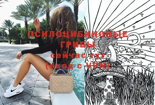 дмт Алексеевка