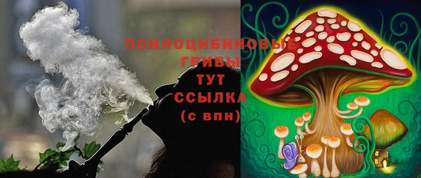 дмт Алексеевка