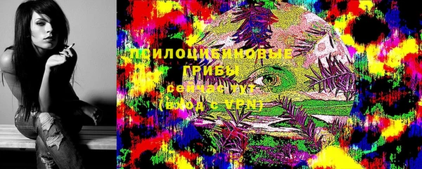 дмт Алзамай