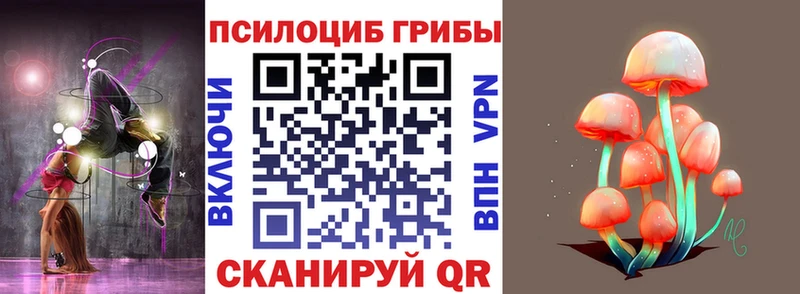 продажа наркотиков  Лодейное Поле  Псилоцибиновые грибы ЛСД 